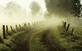 Fog HD Wallpaper Image New