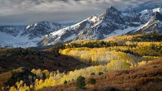 Category Nature HD Wallpaper Subcategory Forests