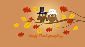 Autumn Fall Landscape Nature Tree Forest Leaf Leaves Thanksgiving