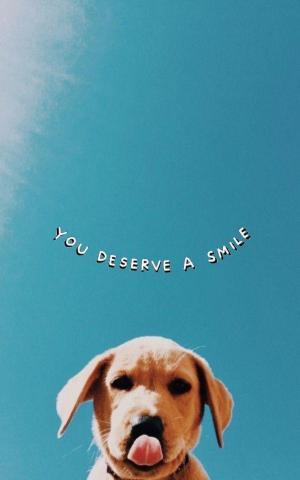 Summavibezlovin Cute Dog Wallpaper Puppy
