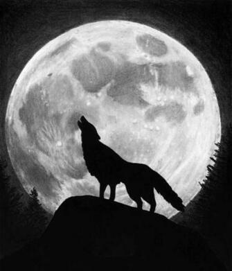 Wolf Moon Pictures HD Wallpaper And