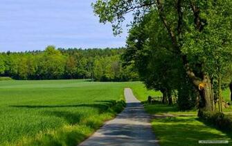 Wallpaper Nature Natural Scenery
