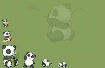 Cute Panda Wallpaper By