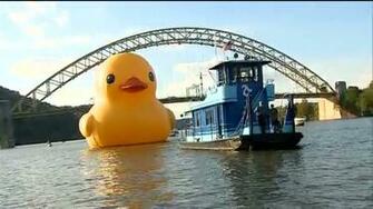 Rubber Duck Jpg