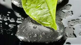 Zen Stone And Leaf Wallpaper