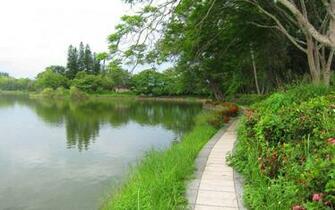 Lakeside Footpath High Quality And Resolution Wallpaper