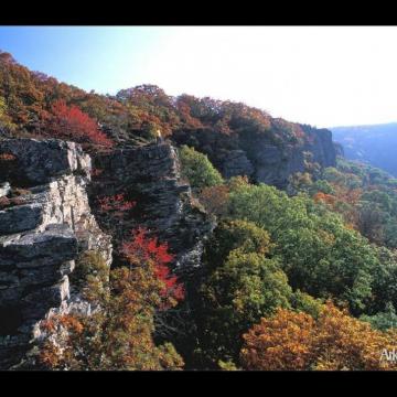 The Beautiful Missouri Ozarks Home