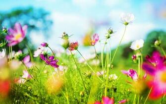 A Spring Soiree San Angelo Symphony