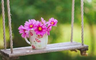 Pink Flowers In A Cup Of Coffee Spring Morning Time
