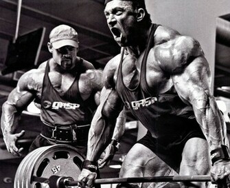 Bodybuilding Wallpaper Culturismo Fitness