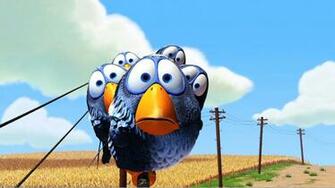 Cool Birds High Definition Wallpaper HD