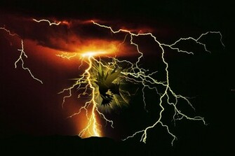 Zapdos Wallpaper I Made Pictures Picc It