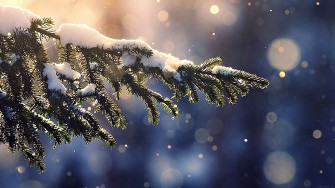 Get Festive With Christmas Laptop Wallpaper Ideas