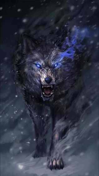 Wolf Phone Wallpaper