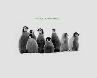 Penguin Wallpaper And Background Image Id