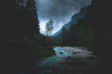 Dark Forest Pictures HD Image