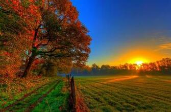 Autumn Field 4k Ultra HD Wallpaper Net