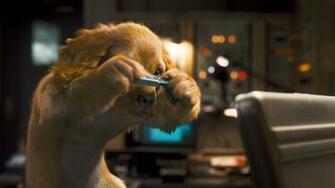 HD Dog Wallpaper