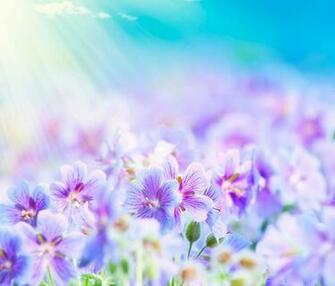For Android Tablets Tablet Wallpaper Background