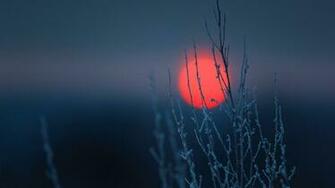Red Spot On A Dark Background Wallpaper And Image