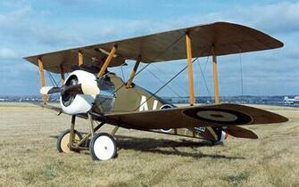 Sopwith Camel Wallpaper Animals HD Hi Res