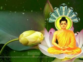 Buddha Wallpaper