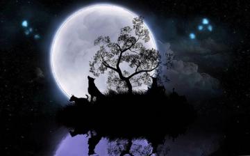 Wolf Moon HD Wallpaper iPhone