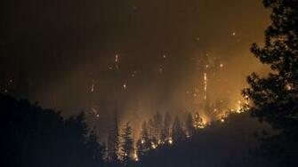 Burning Forrest HD Photo By Matt Howard Thematthoward