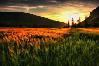 Cool Wallpaper Natural Scenes