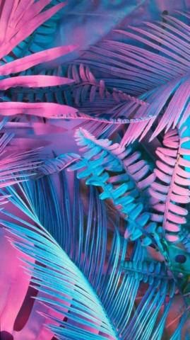 Trendy Neon Wallpaper For iPhone HD