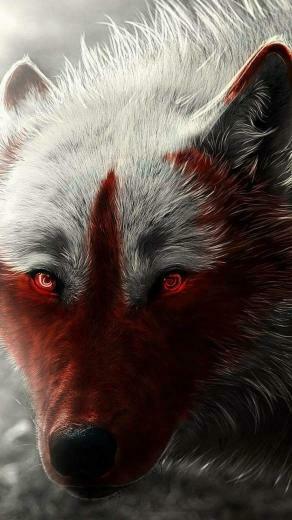 Lupo Rosso Fantasy Wolf Wallpaper Drawing