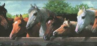 About Horse Corral Wallpaper Border Bh1802b Wild Western Ranch Horses