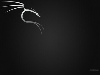 Backtrack Wallpaper Carbon