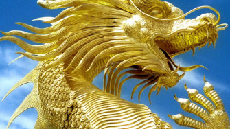 Gold Dragons Wallpaper