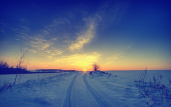 Winter Sunset Wallpaper