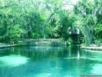 Source Url Crazy Frankenstein Spring Water Wallpaper Html