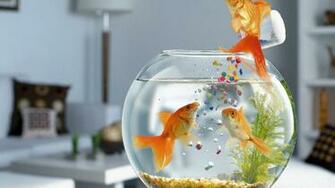 Moving Aquarium Wallpaper
