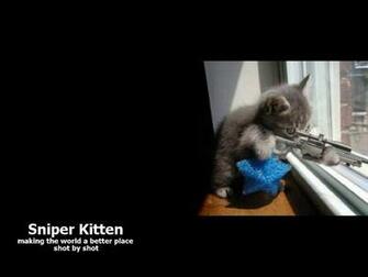 Sniper Kitten Wallpaper
