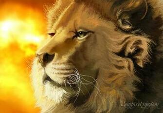 Narnia Aslan Wallpaper Of By