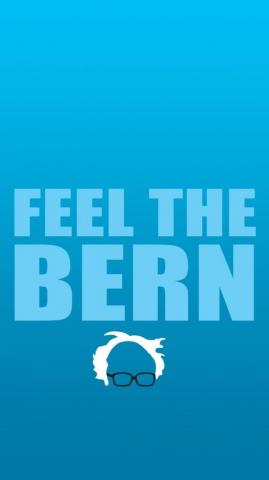 If You Support Bernie Sanders This Will Do Nicely