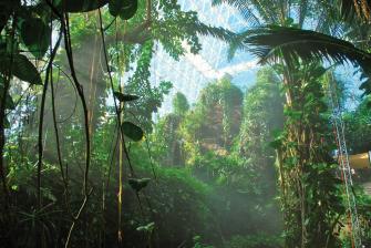 Biosphere What Really Happened Dartmouth Alumni Magazine