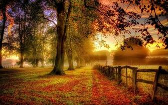 Pin Thanksgiving Autumn Wallpaper