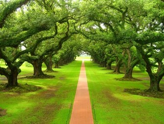 Beautiful Wallpaper Desktop Nature
