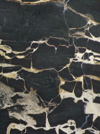 Austral Gold Black Marble From Australia Natural Stone
