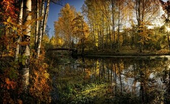 Fall Colors Desktop Wallpaper In HD