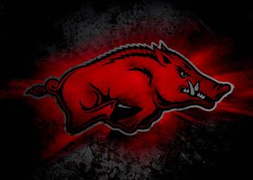 Best Arkansas Wallpaper Whitetail