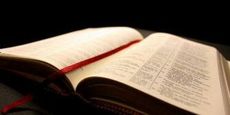 Liturgy Ministry Corpus Christi Catholic Parish Baltimore Md