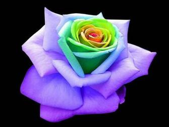 All 4u HD Wallpaper Beautiful Rainbow