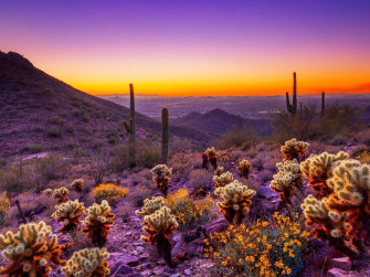 Arizona Sunset Desert Area Orange Sky Clouds Desktop HD Wallpaper