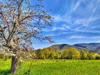 Select Set As Desktop Background Wallpaper Nature Fields